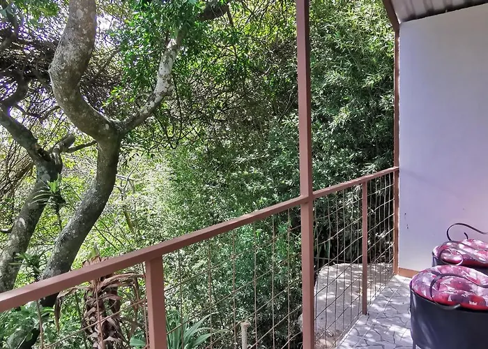 Mora'S Place B&B Monteverde